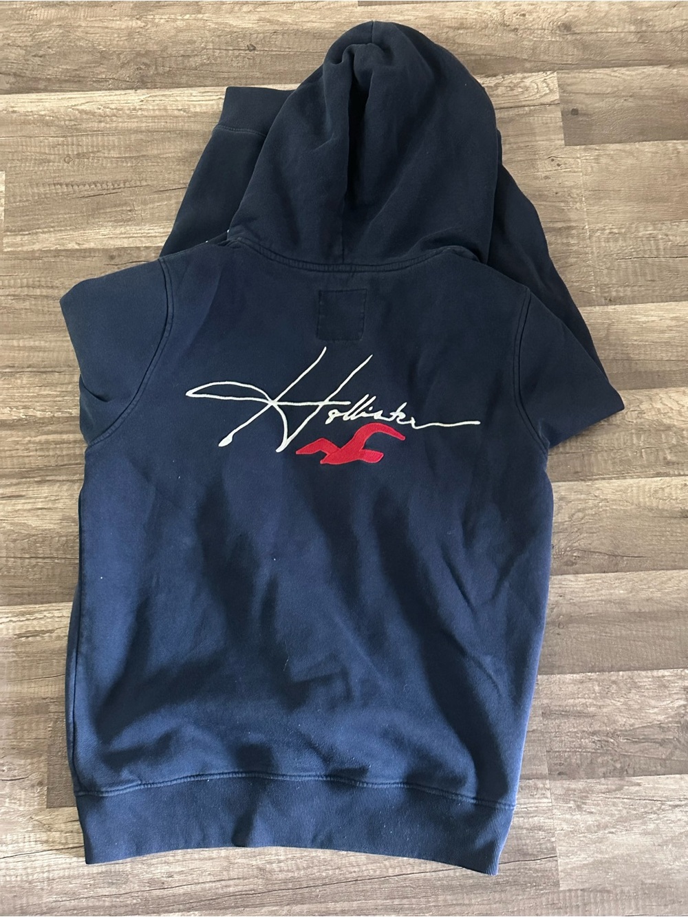 Hollister Navy Hoodie with White Script and Red Seagull
